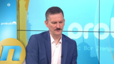 Vlasti ne trebaju neki izbori, osim ako su primorani na njih - Vujo Ilić