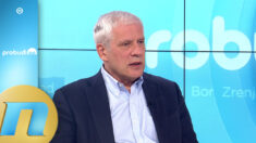 Mnogo je bitnije da se opozicija ujedini nego da se traži prelazna vlada - Boris Tadić