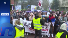 Gimnazije više ne rade, nego što rade, Brnabić: "ide to nabolje"