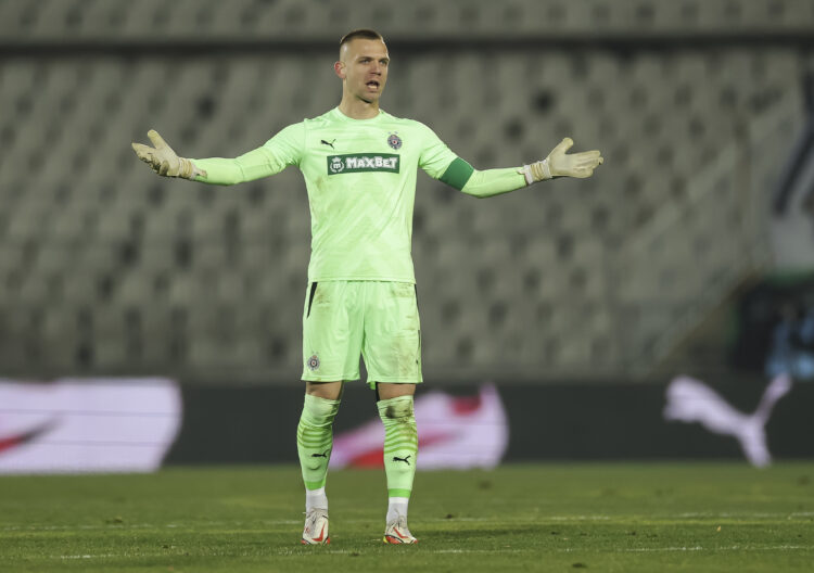 Aleksandar Jovanović, golman Partizana