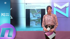 MN@: Šta rade pešaci sa Kosova u autobusu?