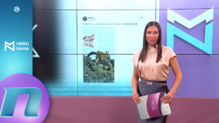 MN@: Pinkovo STOP za lične priče