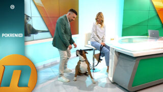 Dr Katarina Bajec: Kako ljubimci utiču na naše zdravlje