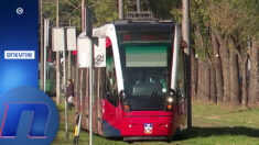 Nijedan novi tramvaj na ulicama od kada SNS upravlja Beogradom