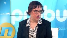 Imunizacija protiv pneumokoke: Obuhvat dece oko 90 posto - dr Nataša Opavski