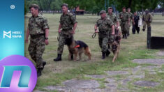 Šta je iza prodaje vojničkih pasa