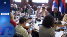 U skupštini dva odbora, dve konferencije za novinare i stare priče