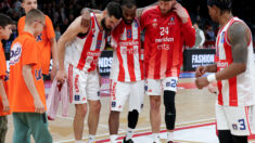 KK Crvena zvezda