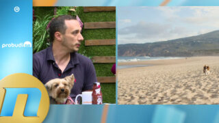 Neophodni dokumenti za ulazak ljubimaca u EU - Srđan Guberinić