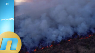 Marko Tomić: 40 odsto požara izazvano ljudskim faktorom, zakon postoji, ali se ne poštuje