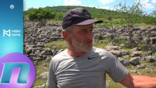 Bez kamenoloma u Koritniku