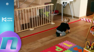 Prednosti i mane o alimentacionom fondu