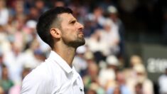 Novak Đoković na Vimbldonu 2024