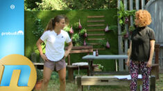 Da li je leti fizička aktivnost rizična po zdravlje - Nina Vukosavljević