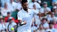 Novak Đoković na Vimbldonu 2025