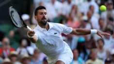 Novak Đoković na Vimbldonu 2025