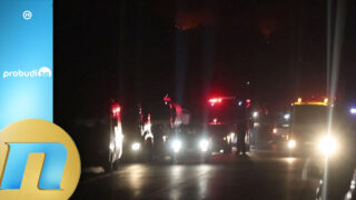 Požar na Kritu: Evakuisani studenti i meštani - Nela Petković