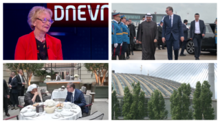 Irina Subotić, istoričarka umetnosti