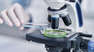 Bakterije - ilustracija