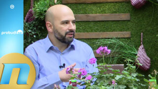 Kako pregurati anksiozni ponedeljak - Stefan Gligorić