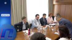 Nema novog REM-a, nema novih EU poglavlja, šefica ODIHR-a hvali Brnabić