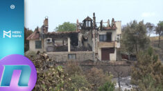 Jug Srbije drhti od požara