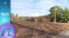 Sprečeno širenje požara na Kraljevici