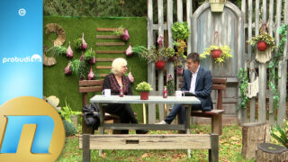 Dr Gorana Isailović: Benefiti šumske medicine - kupanje u čistom vazduhu