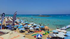 Fig Tree Bay
