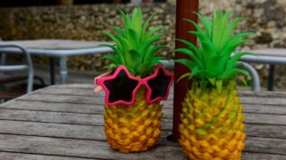 Ananas - ilustracija