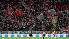 Delije, FK Crvena zvezda navijači