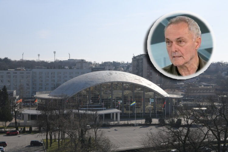 Branislav Mitrović, Sajam