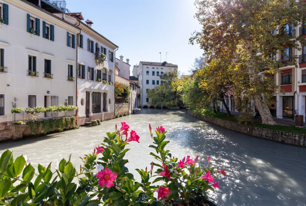 Treviso