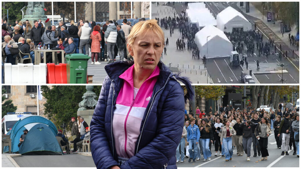 dijana hrka, ćacilend