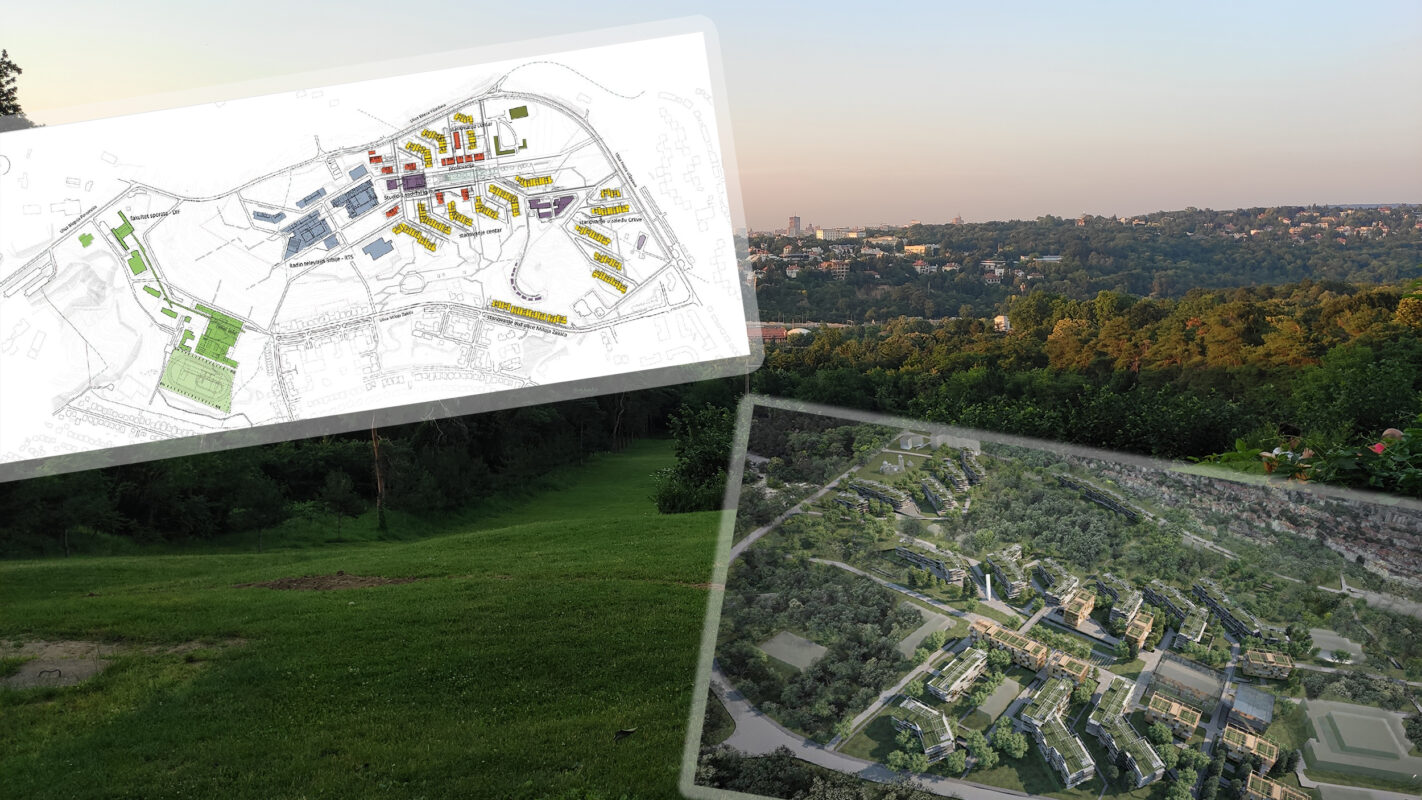 Košutnjak pod sekirom firme koja gradi Marinu Dorćol: U planu gradnja kompleksa, investitori tvrde – neće biti posečeno nijedno vitalno drvo