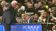 Željko Obradović, Moma Jakovljević