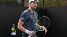 Botik van de Zandšulp